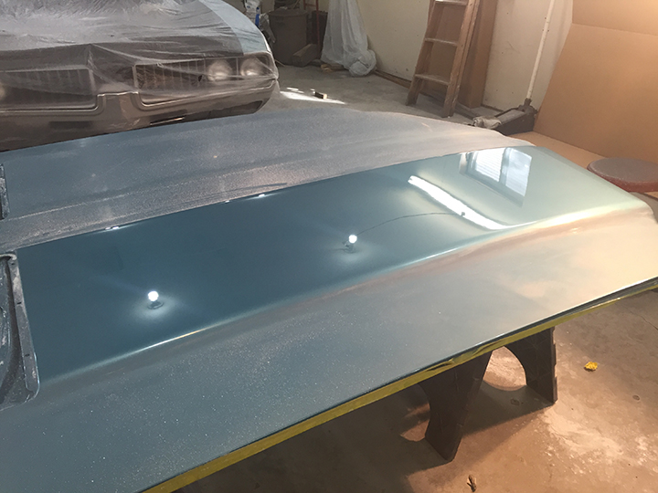 Buffing hood